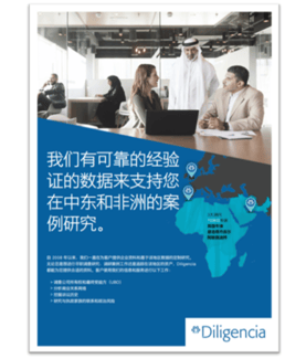 Diligencia company overview (in ChineseMandarin)