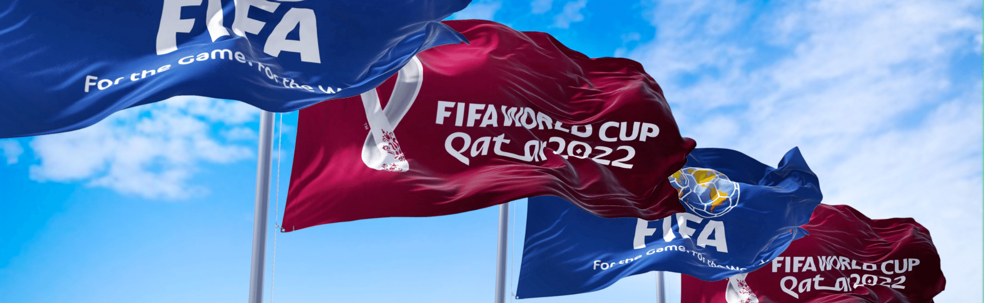 Image of Qatar FIFA World Cup Flags